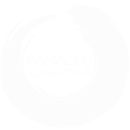 panache consulting - minority owned business