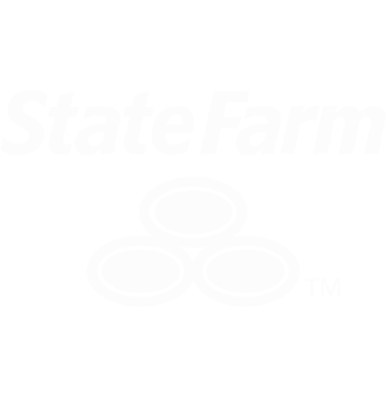 state farm - minority owned businesses